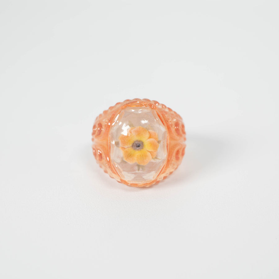 Anemone frame ring