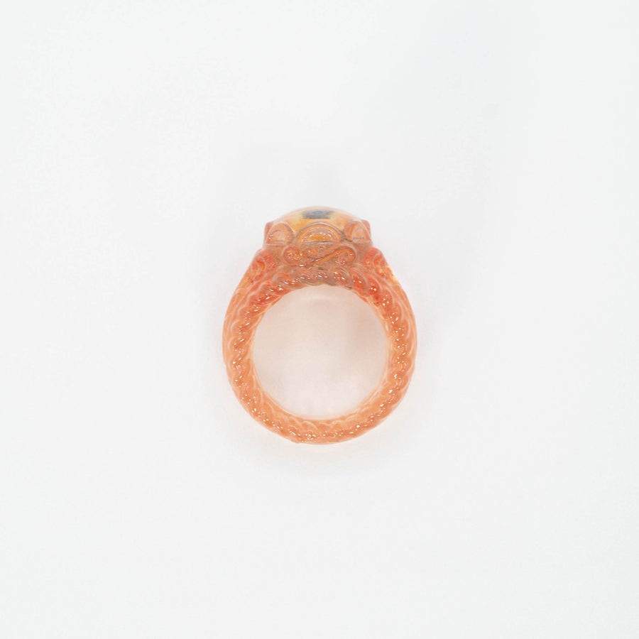 Anemone frame ring